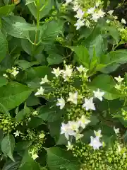 大生郷天満宮の自然