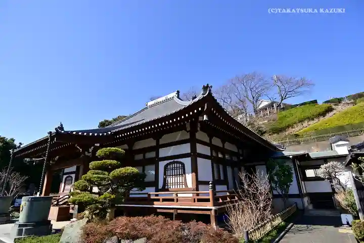 養源寺の本殿・本堂