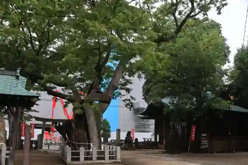 阿邪訶根神社の景色