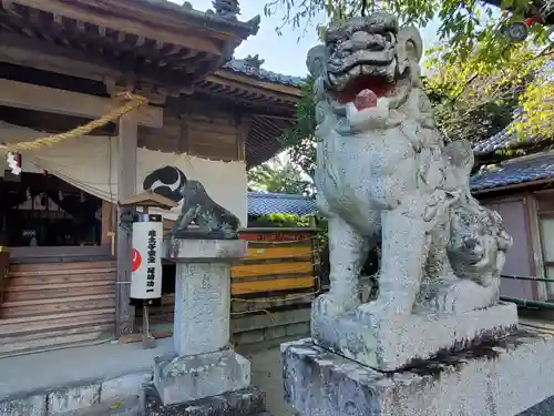 二宮神社の狛犬