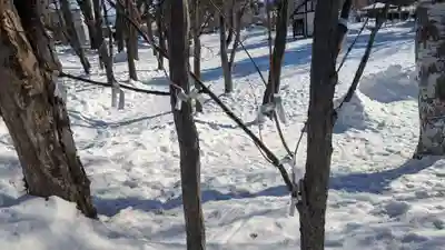 西御料地神社のおみくじ