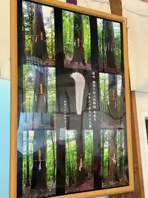 諏訪大社(長野県)