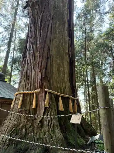 鷲子山上神社(栃木県)