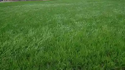 尾張大國霊神社（国府宮）の周辺