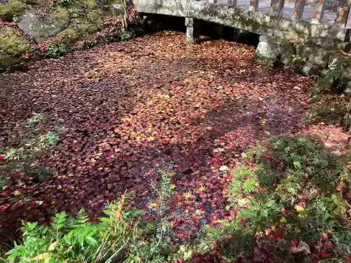 最乗寺（道了尊）(神奈川県)