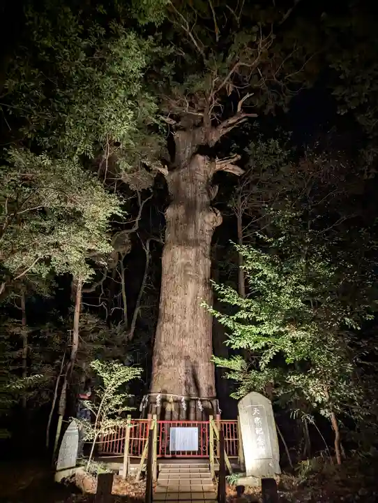 麻賀多神社(千葉県)