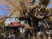 姥神神社(宮城県)