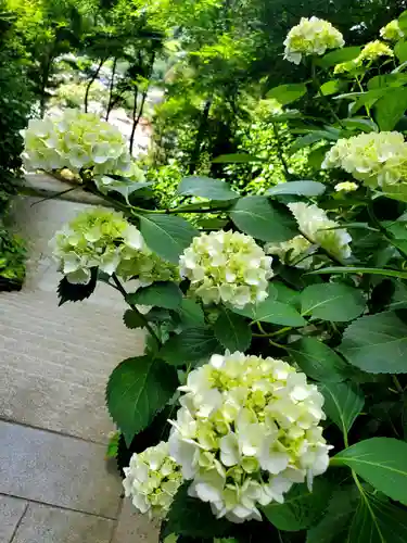 石都々古和気神社(福島県)