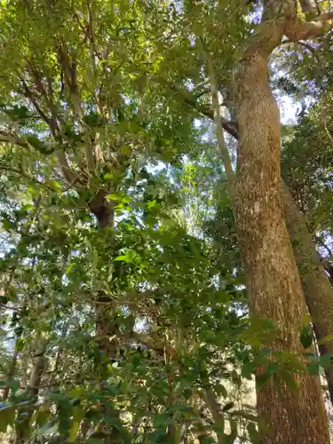 九木神社(三重県)