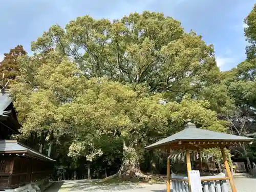 千栗八幡宮(佐賀県)
