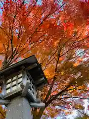 土津神社｜こどもと出世の神さまの建物その他