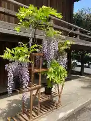 滝野川八幡神社の庭園