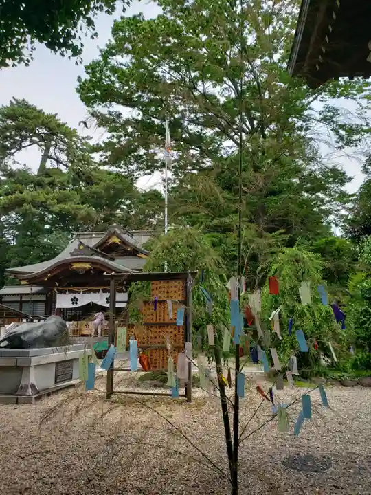 布多天神社(東京都)