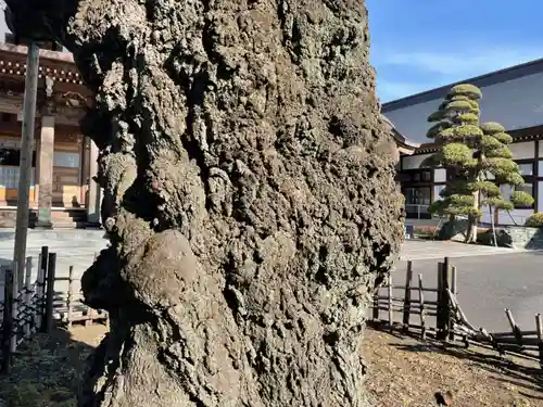 天応院(神奈川県)