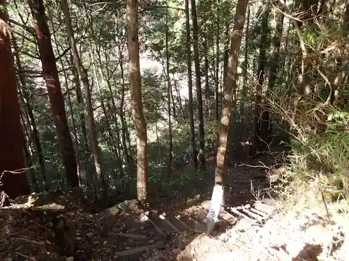 室生龍穴神社の自然