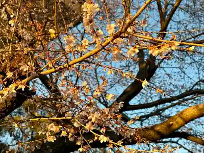 萱津神社(愛知県)