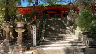 春日大社(奈良県)