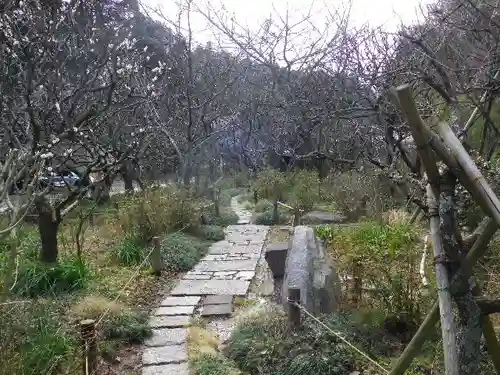 瑞泉寺の庭園