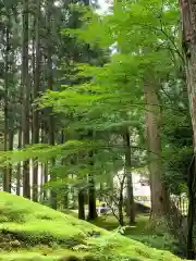 日用神社の周辺