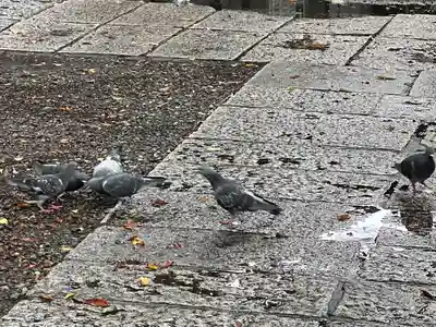 笠䅣稲荷神社(神奈川県)