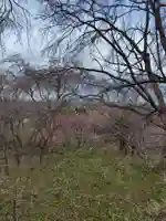 延命地蔵尊(福島県)