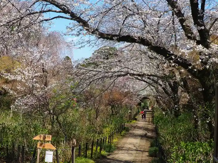 本土寺(千葉県)
