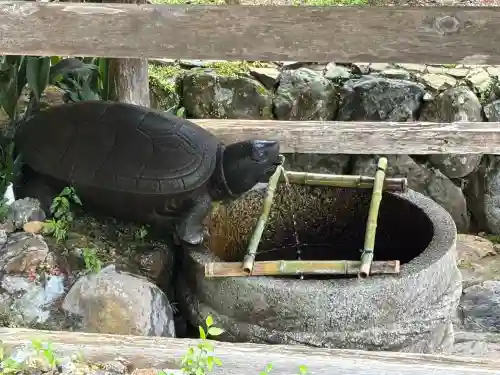 松尾大社(京都府)