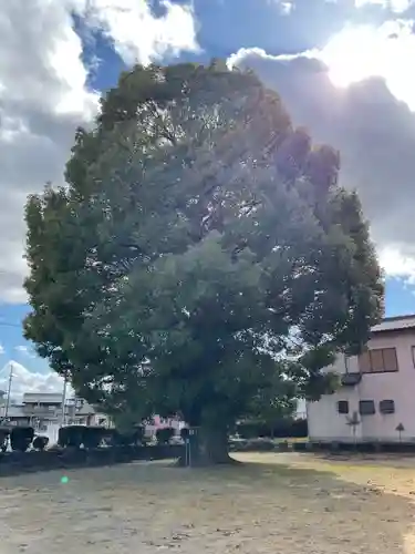 井出神社の庭園