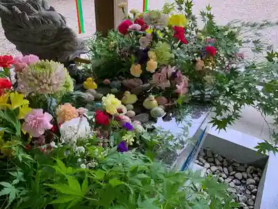 滑川神社 - 仕事と子どもの守り神の手水舎