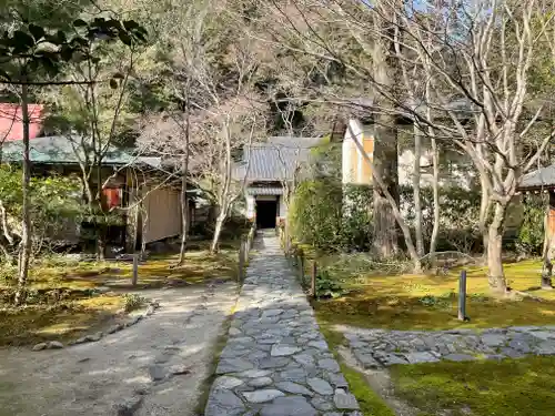 蓮華寺（洛北蓮華寺）の庭園