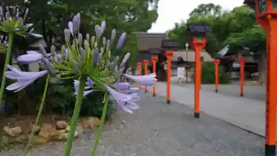 平野神社のその他建物