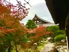 くろ谷 金戒光明寺の庭園