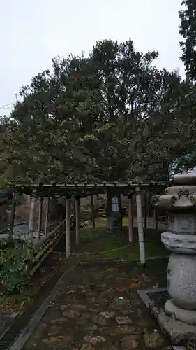 宝厳寺(滋賀県)