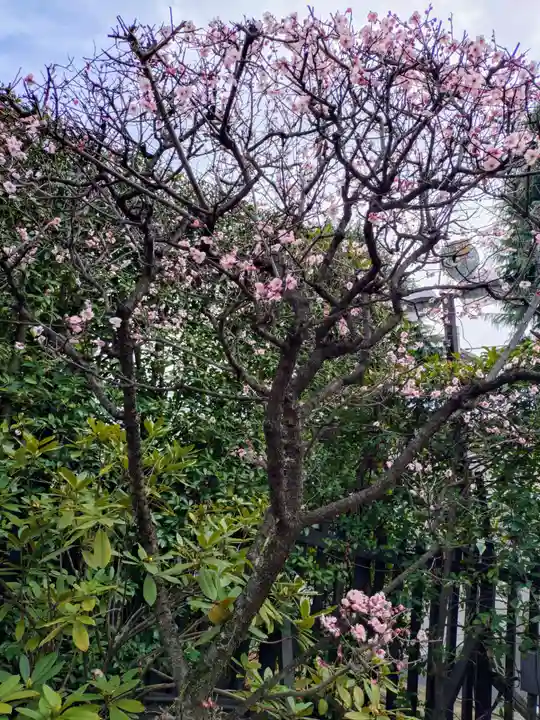 中野沼袋氷川神社(東京都)