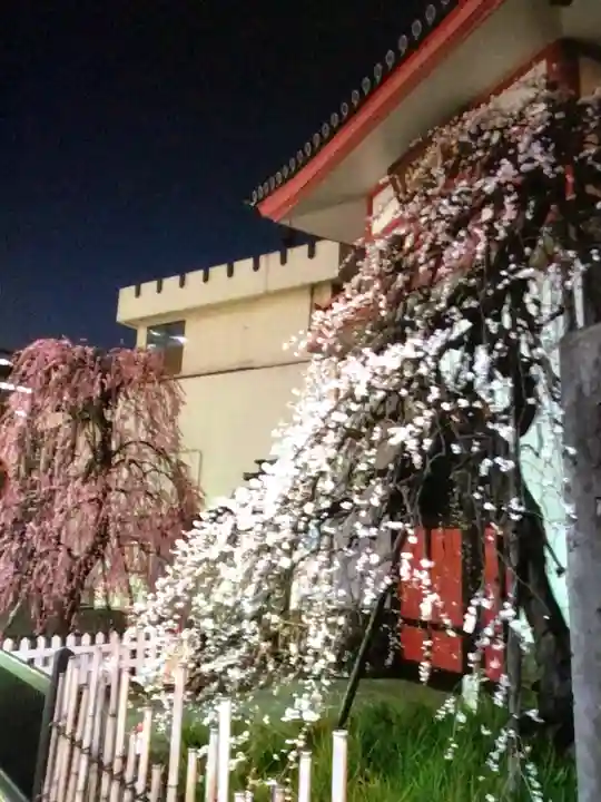 成願寺(東京都)