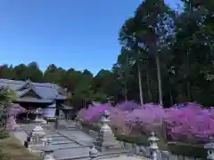 伊奈冨神社の建物その他