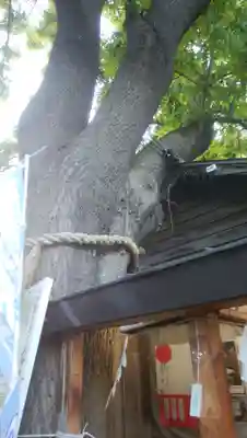 札幌諏訪神社のその他建物