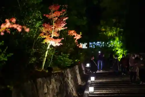 知恩院の庭園