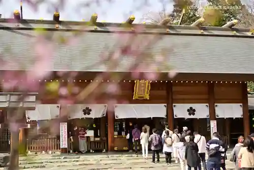 櫻木神社の本殿・本堂