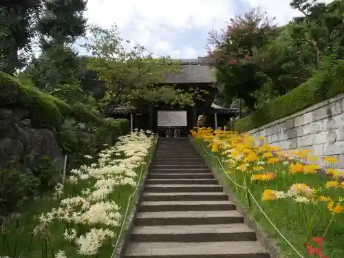 横浜　西方寺の山門・神門