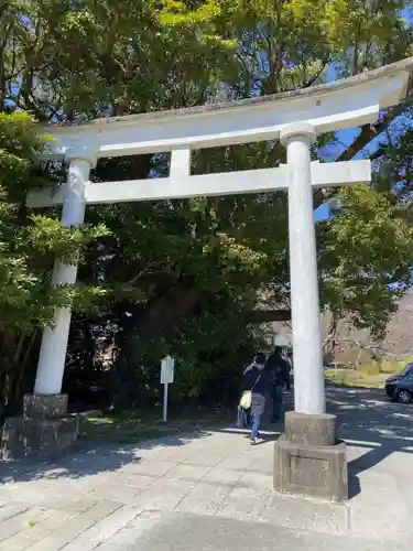 川津来宮神社の鳥居