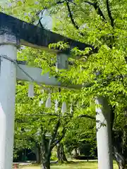 守りの神　藤基神社(新潟県)