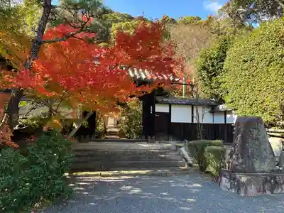 善法律寺(京都府)