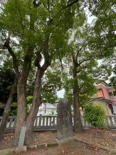 玉前神社(千葉県)