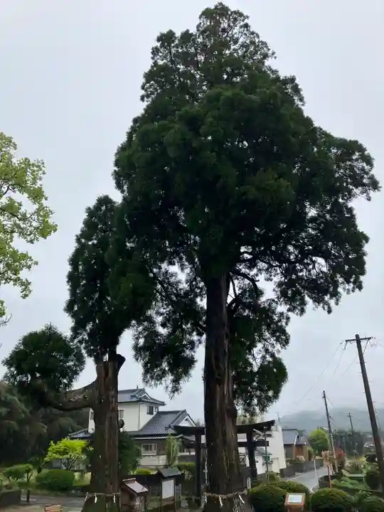 興玉神社(宮崎県)