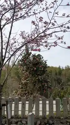 大歳神社(京都府)