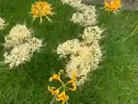 横浜 西方寺の自然