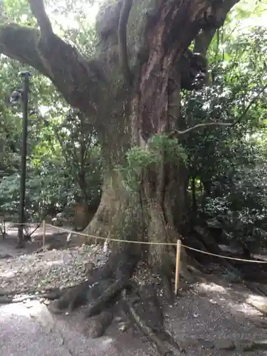 月夜見宮（豊受大神宮別宮）の自然