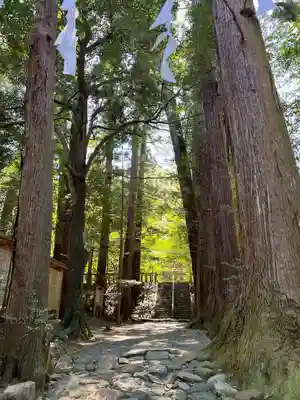 萩日吉神社(埼玉県)