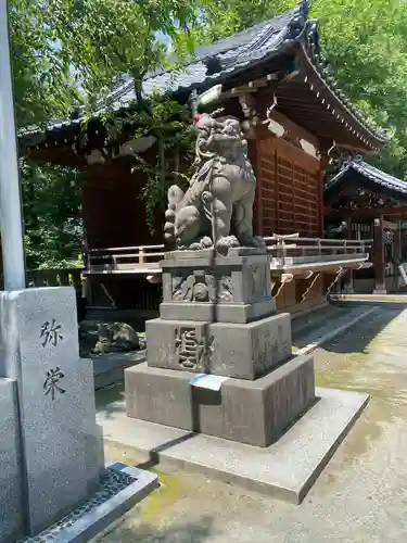 牛嶋神社の狛犬